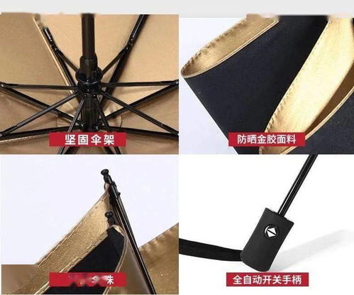10月进店积分兑换礼预告